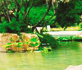 公園景觀設(shè)計(jì)如何做好綠化工作